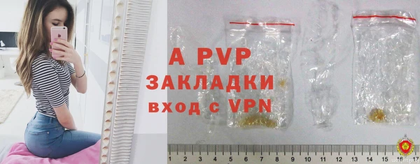 индика Горнозаводск