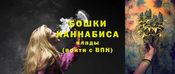 индика Горнозаводск