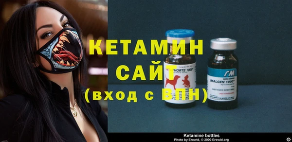 индика Горнозаводск