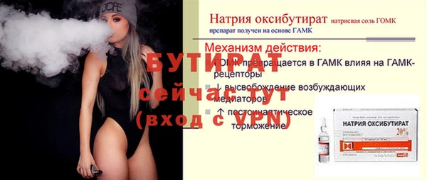 индика Горнозаводск