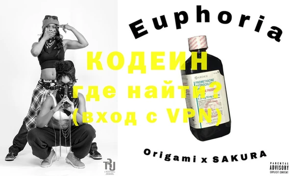 индика Горнозаводск