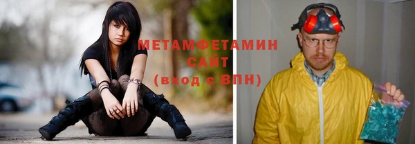 индика Горнозаводск