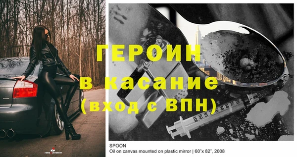 индика Горнозаводск