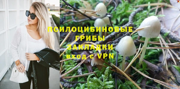 индика Горнозаводск