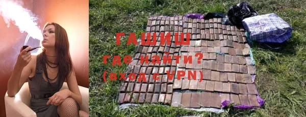 индика Горнозаводск