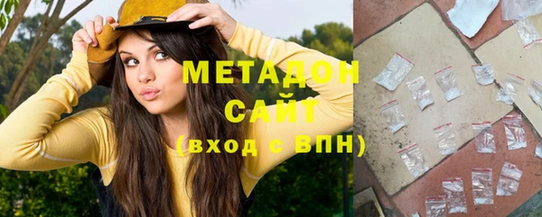 индика Горнозаводск