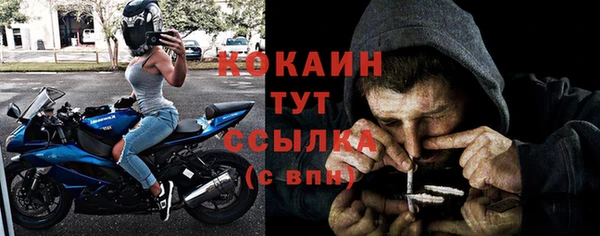 индика Горнозаводск