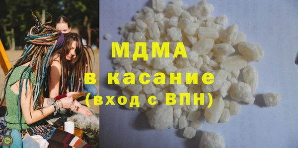 индика Горнозаводск