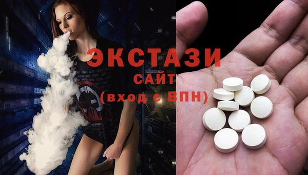индика Горнозаводск