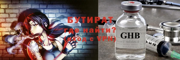 индика Горнозаводск