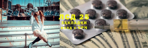 индика Горнозаводск